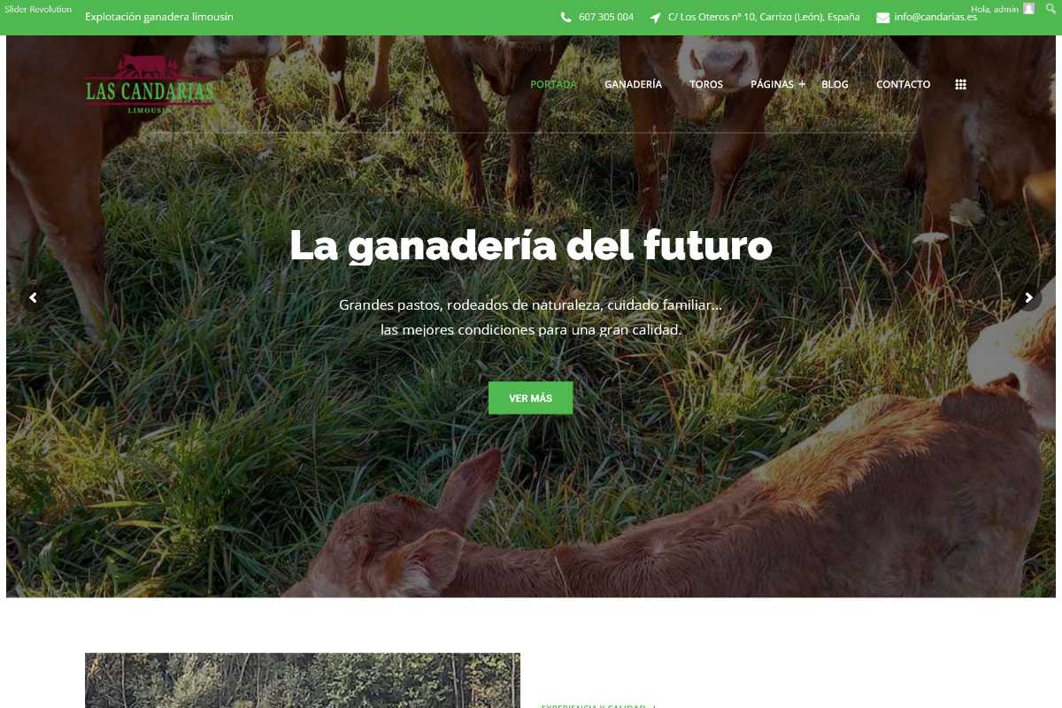 www.candarias.es