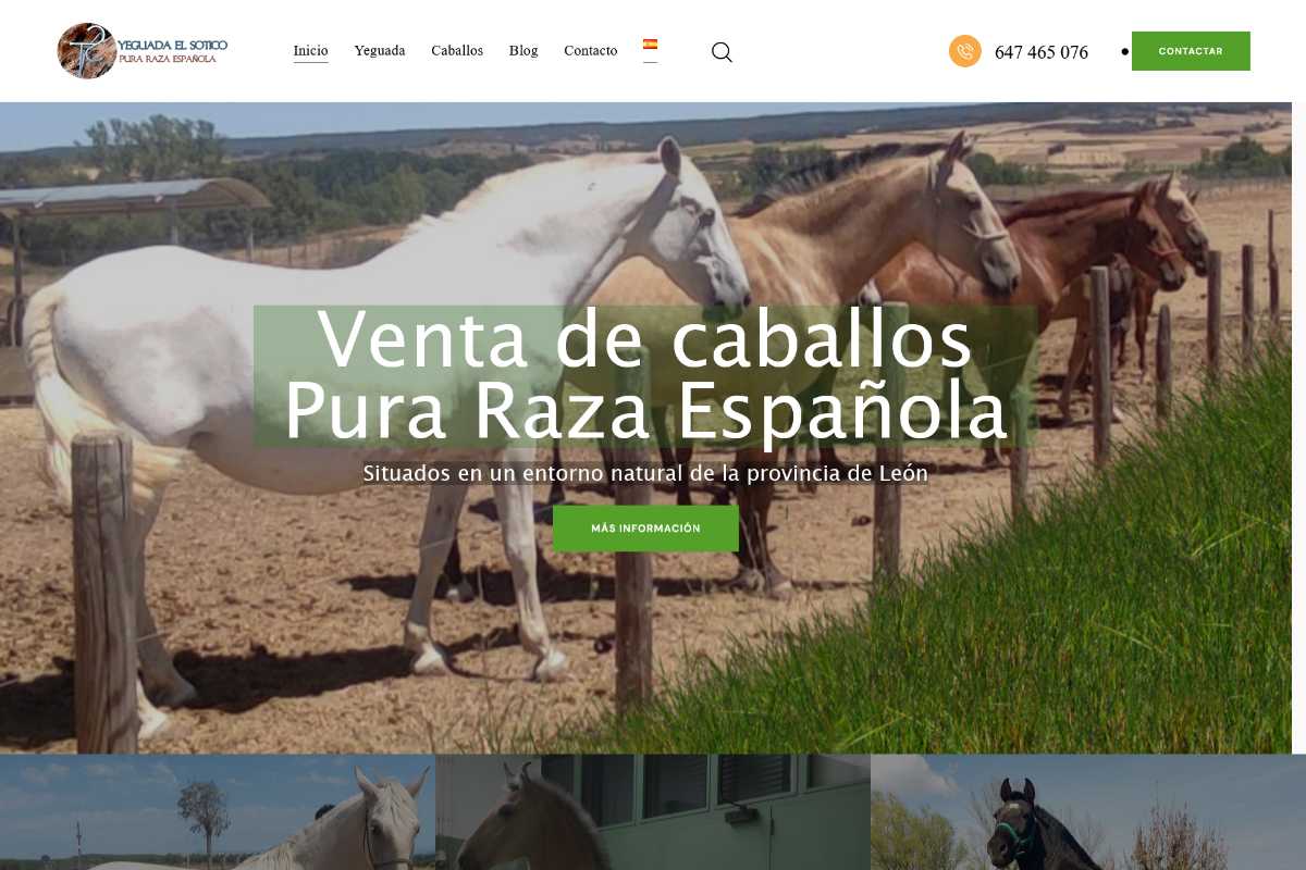 www.yeguadasotico.com